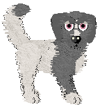 PH's Second-Born Son — “Simeon”