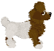 Charmme/Witz's Peak of Trajectory — “Zenith”