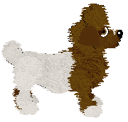 Charmme/Witz's Peak of Trajectory — “Zenith”