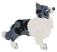 Crystal Rose's Daughter of a King at Come Bye — “Merav”