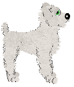 Charmme/Witz's A Roll of Chance — “Possibly”