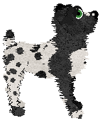 Charmme/Witz's Suspended on Springs — “Carriage”