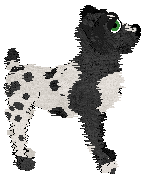 Charmme/Witz's Suspended on Springs — “Carriage”