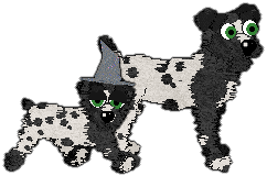 Profile image of Charmme/Witz's Suspended on Springs