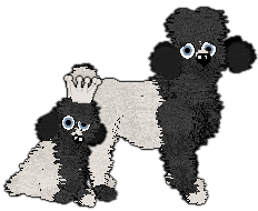 Profile image of Charmme/Witz's Free to Download