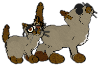 Profile image of Charmme/Witz's A Path Forward