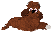 Profile image of NSP/Tangled's I Contain Multitudes