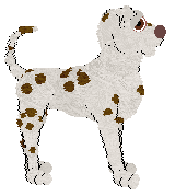 Rhat's What Says the Haruspex at TWM — “Livis”