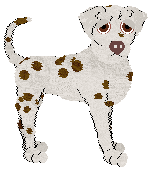 Rhat's What Says the Haruspex at TWM — “Livis”