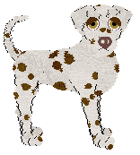 Cargo's A Striking Resemblance at TWM — “Mikayla”