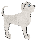 In Flore's Quiet Falling Snow — “Snowen”