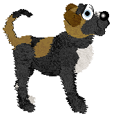 Witz's Black Label Beauty — “Coco”