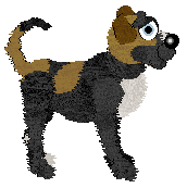 Witz's Black Label Beauty — “Coco”