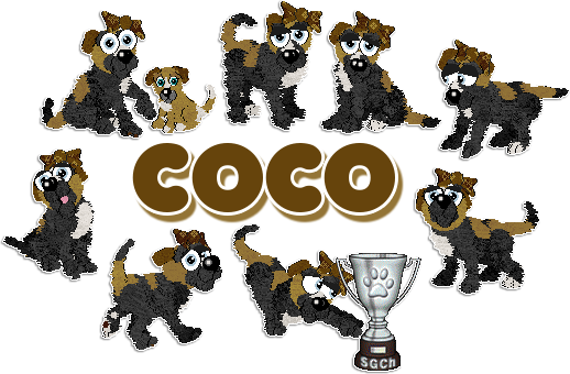 Profile image of Witz's Black Label Beauty