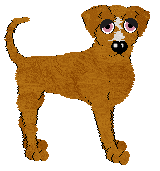 Cirrutopia's Saved by the Bouyancy of Citrus at Tanglewood — “Citrus”