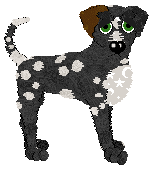 Profile image of Tangle's Dancing with the Stars