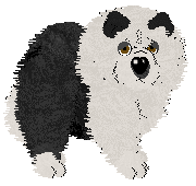 Profile image of Tangle's Fluffy Thing Two