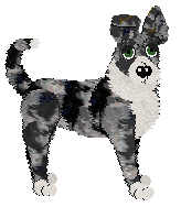 Profile image of Begotten/Tangled's Inquisitive But Mindful