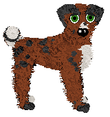 Profile image of Dandy/Tangled's Already Named Yew