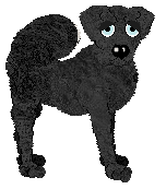 Profile image of HK/Tangled's Pointe Leap Spin