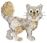 Funfetti/Tangled's Sweet Cream Filling — “Cream Puff”