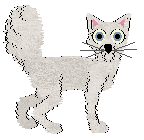 Profile image of Witz/Tangled's Fields of Color