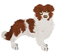 Profile image of Come Bye's Are You Ready?