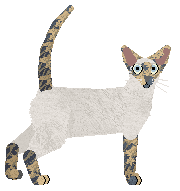 Sierpiński's Queen of the Gods at Vanilla — “Hera”