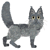 Spellbound's Silver Lioning at Vanilla — “Hamza”