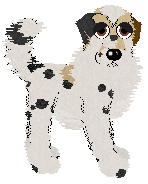 Profile image of EC's Nice Knowin' Ya