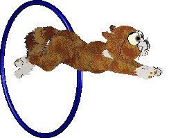 SeaGlass's Bestest Dog — “Dog”