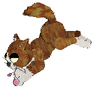 SeaGlass's Bestest Dog — “Dog”