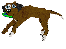 Wagz/Cargo's Speechless — “Ashton”