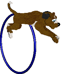 Wagz/Cargo's Speechless — “Ashton”