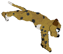 Cargo's Semisweet — “Chip”