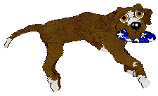 Cargo's Dillon Precision — “Dillon”