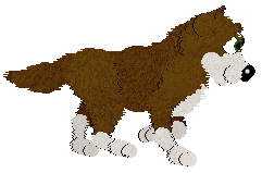 Husky Trax/Cargo's In The Winter Woods — “Hybrid”