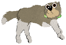 Husky Trax/Cargo's Wild Thing — “Milo”