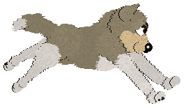 Husky Trax/Cargo's Wild Thing — “Milo”