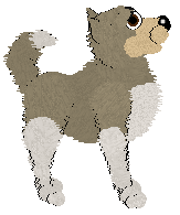 Husky Trax/Cargo's Wild Thing — “Milo”