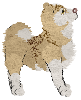 Cargo's Ice Milk — “Creamsicle”