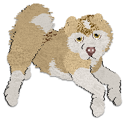 Profile image of Cargo's Ice Milk