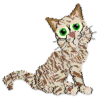 Profile image of Cargo's Cream Cheese Cinnamon Swirl