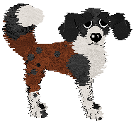 Profile image of Sz's Glycyrrhiza glabra