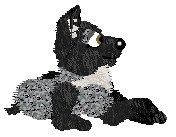 Profile image of Vanillabel's Soft Season