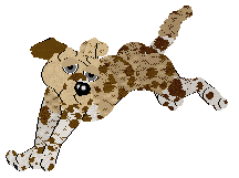 Profile image of Medusa's Capsize My Heart at Vanilla