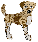 Medusa's Capsize My Heart at Vanilla — “Capsie”