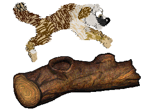 Sz's Naughty But Nice at Vanilla — “Lenore”