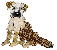 Profile image of Sz's Naughty But Nice at Vanilla