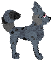 Vanillabel's Scruffy Chique — “Soraya”